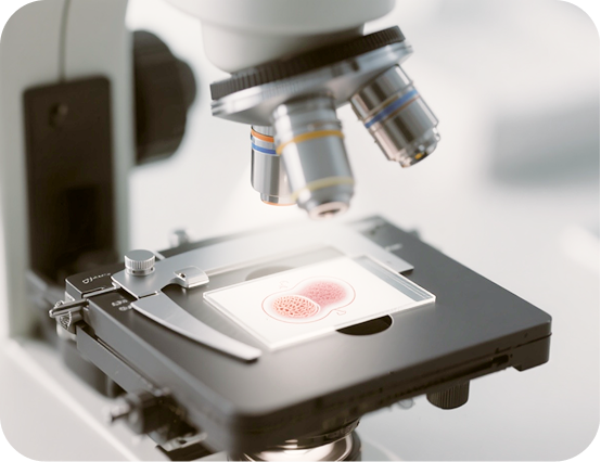 Embryology an Laboratory Teaser